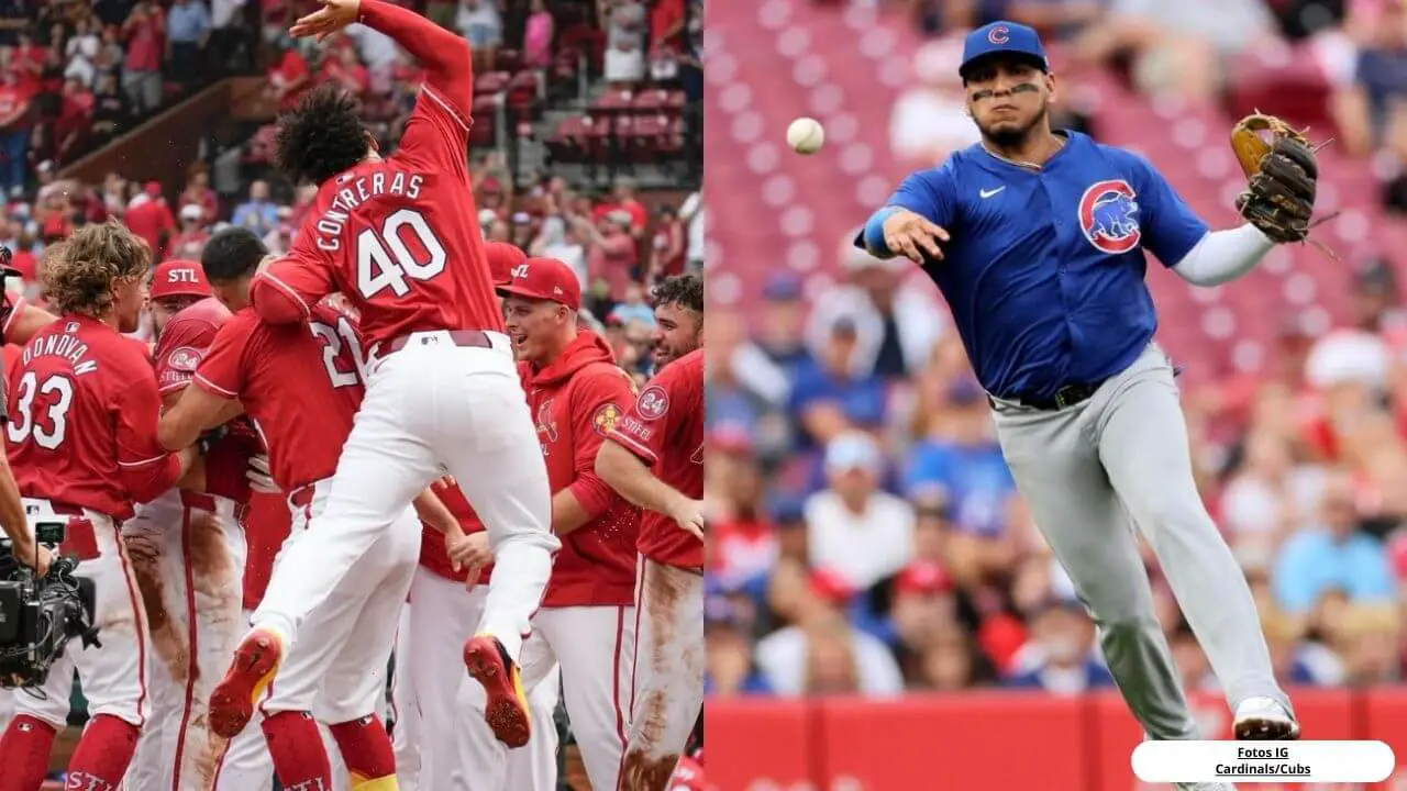 Cardinals vs Cubs Como ver serie del 1 al 4 de agosto 2024